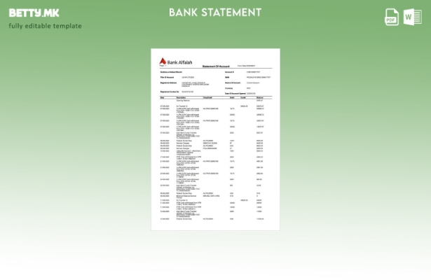 модерен стил Пакистанска банка Алфалах шаблон за извод на сметката